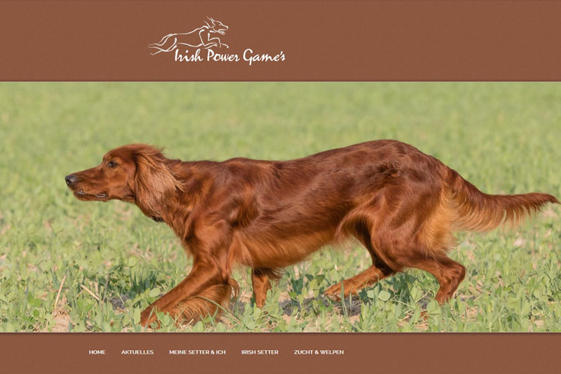 hunde homepage